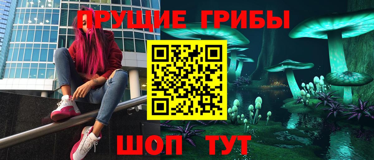 Галлюциногенные грибы GOLDEN TEACHER Гусь-Хрустальный