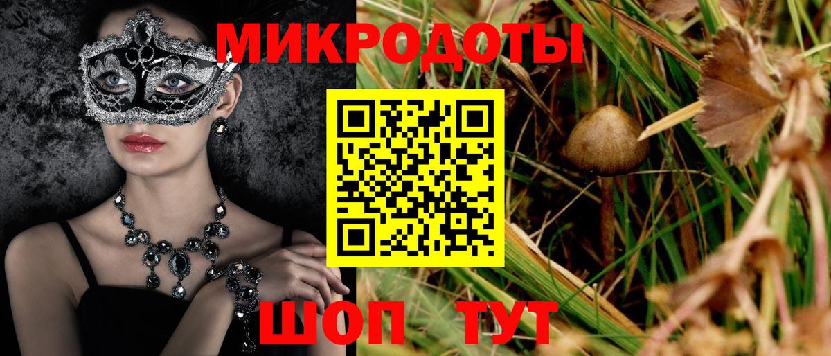 Псилоцибиновые грибы Psilocybe  Гусь-Хрустальный  Псилоцибиновые грибы мухоморы 