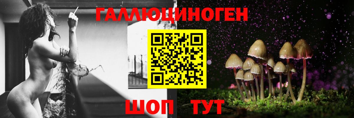 Псилоцибиновые грибы MAGIC MUSHROOMS  Вход с VPN  Галлюциногенные грибы ЛСД  Гусь-Хрустальный 